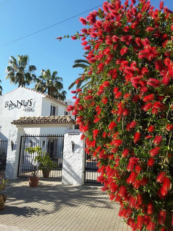 Banus Lodge Marbella Exterior foto